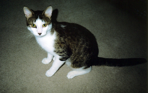 bootsy1