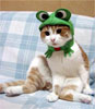 Cathat_t